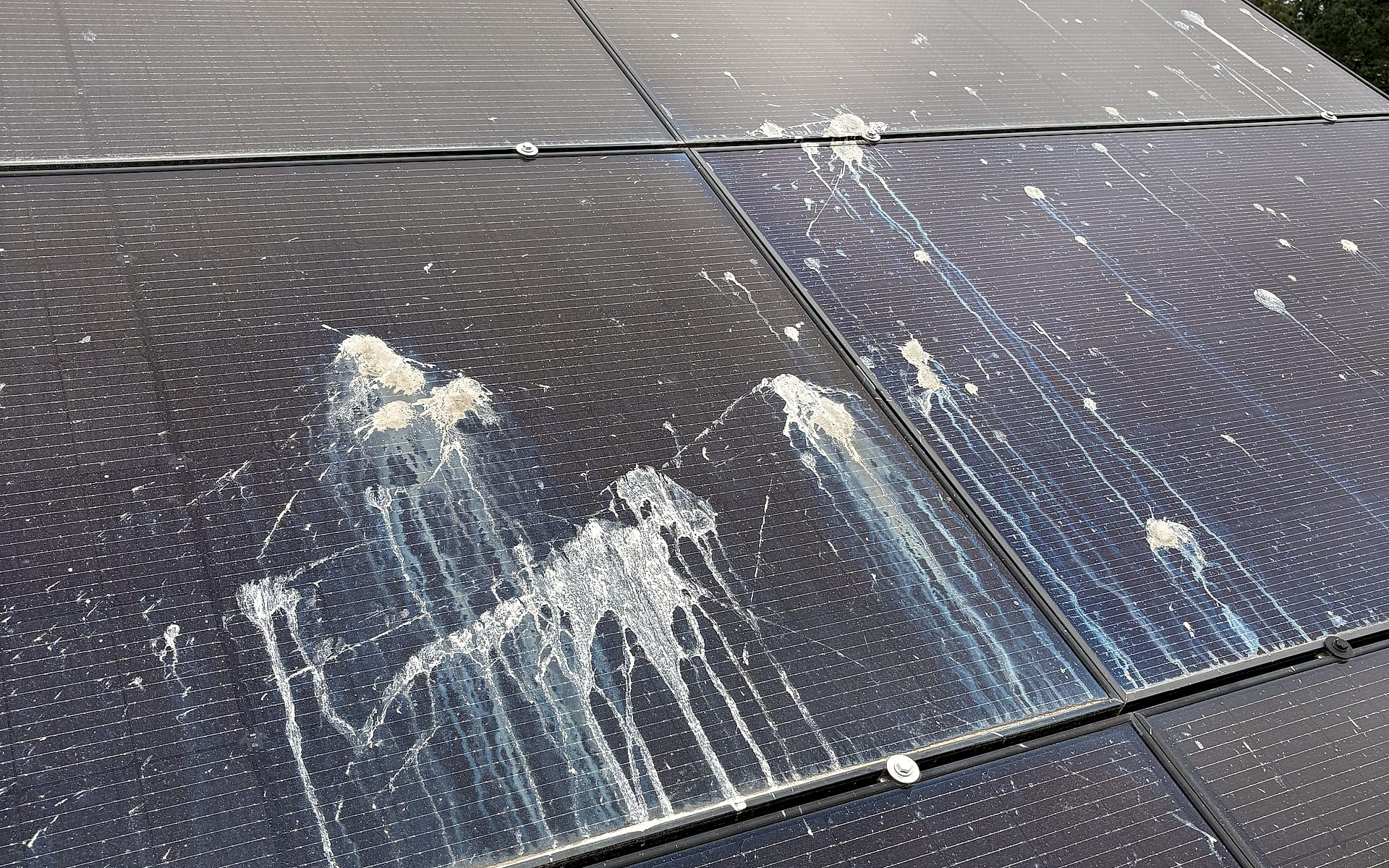 Close-up of bird droppings and grime on a client's ground-mount solar array before cleaning