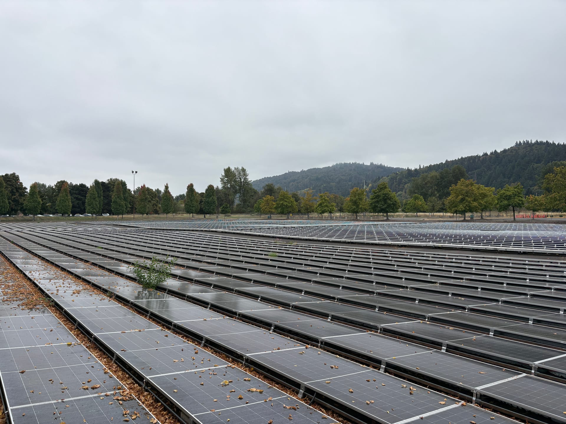 A vast ground-mount solar array with rows stretching toward forested hills